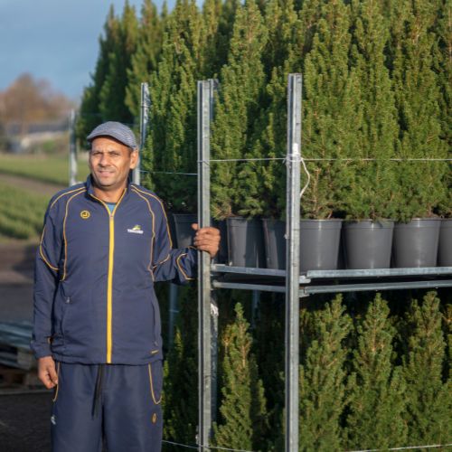 Tree nursery with all kind of trees/plants